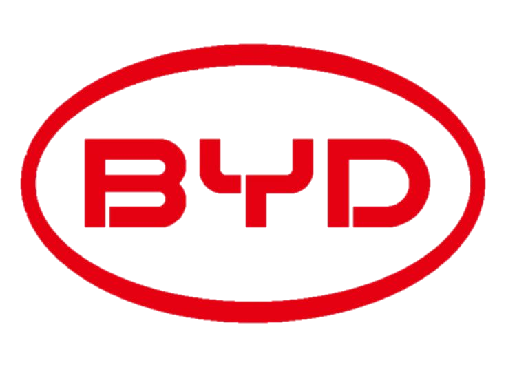 Passenger segment customer of BCS